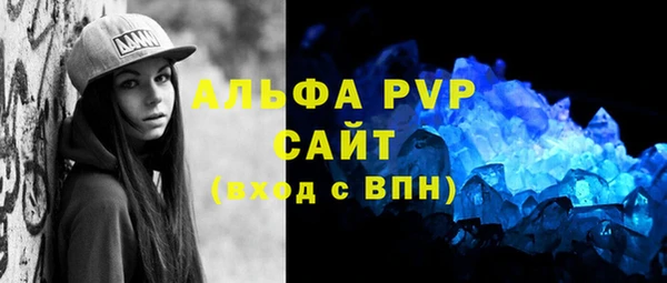 индика Белоозёрский