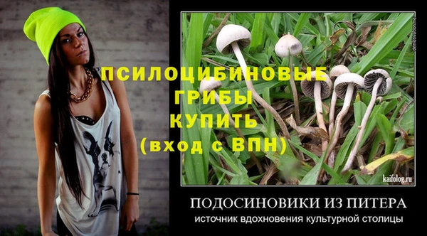 не бодяженный Белокуриха