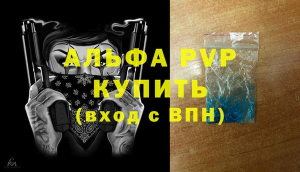 индика Белоозёрский