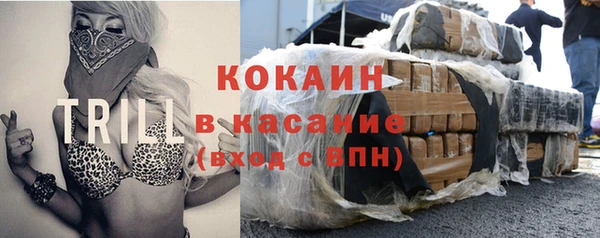 индика Белоозёрский