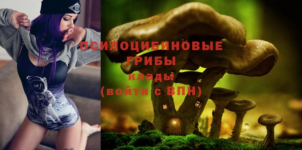 не бодяженный Белокуриха